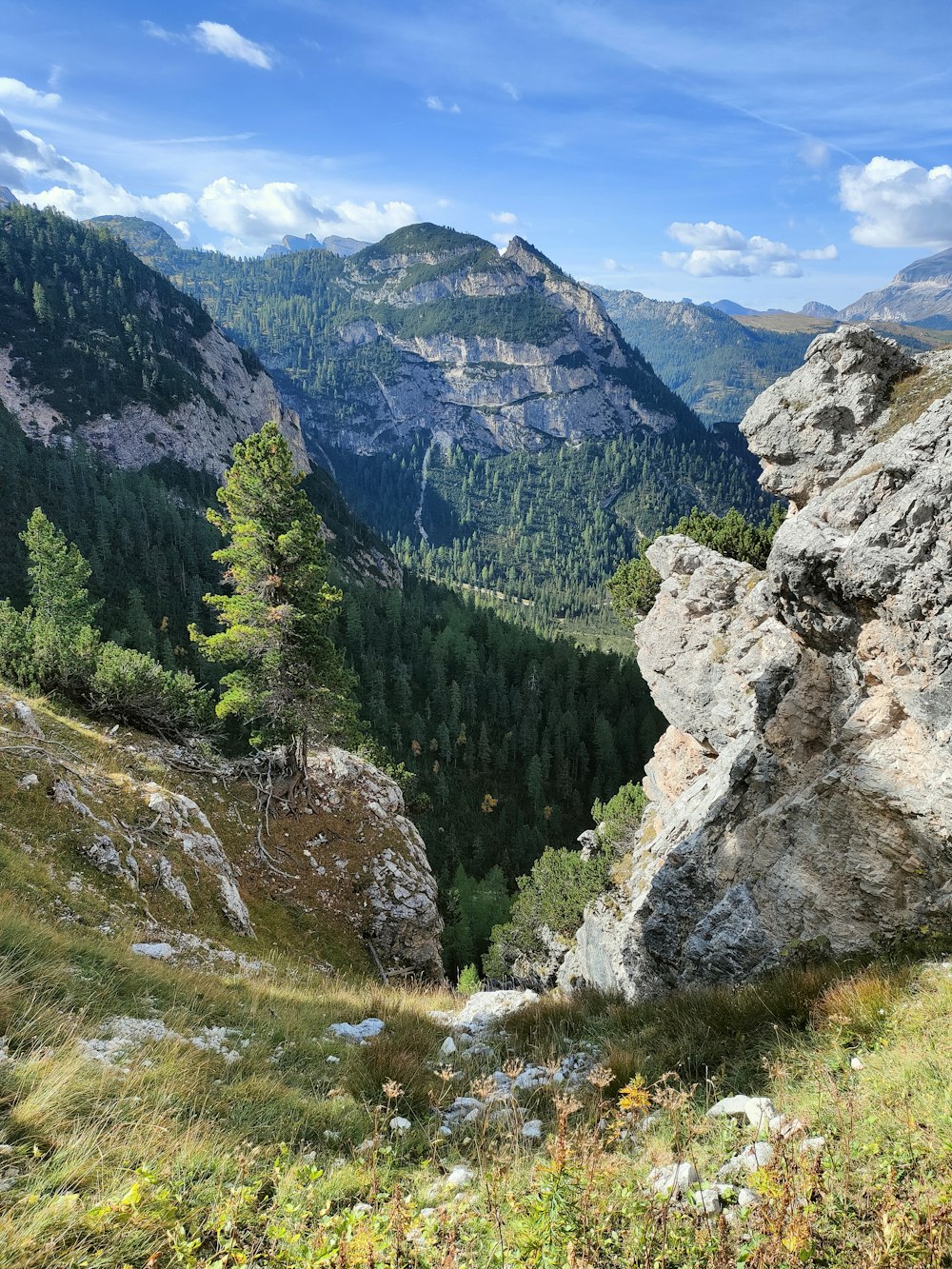 a rocky outcropping with trees and mountains in the background