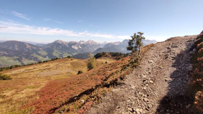 Rocky mountain trail leading through autumn-colored trees.