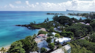 Aerial view of stylish real estate properties along a tropical coastline.