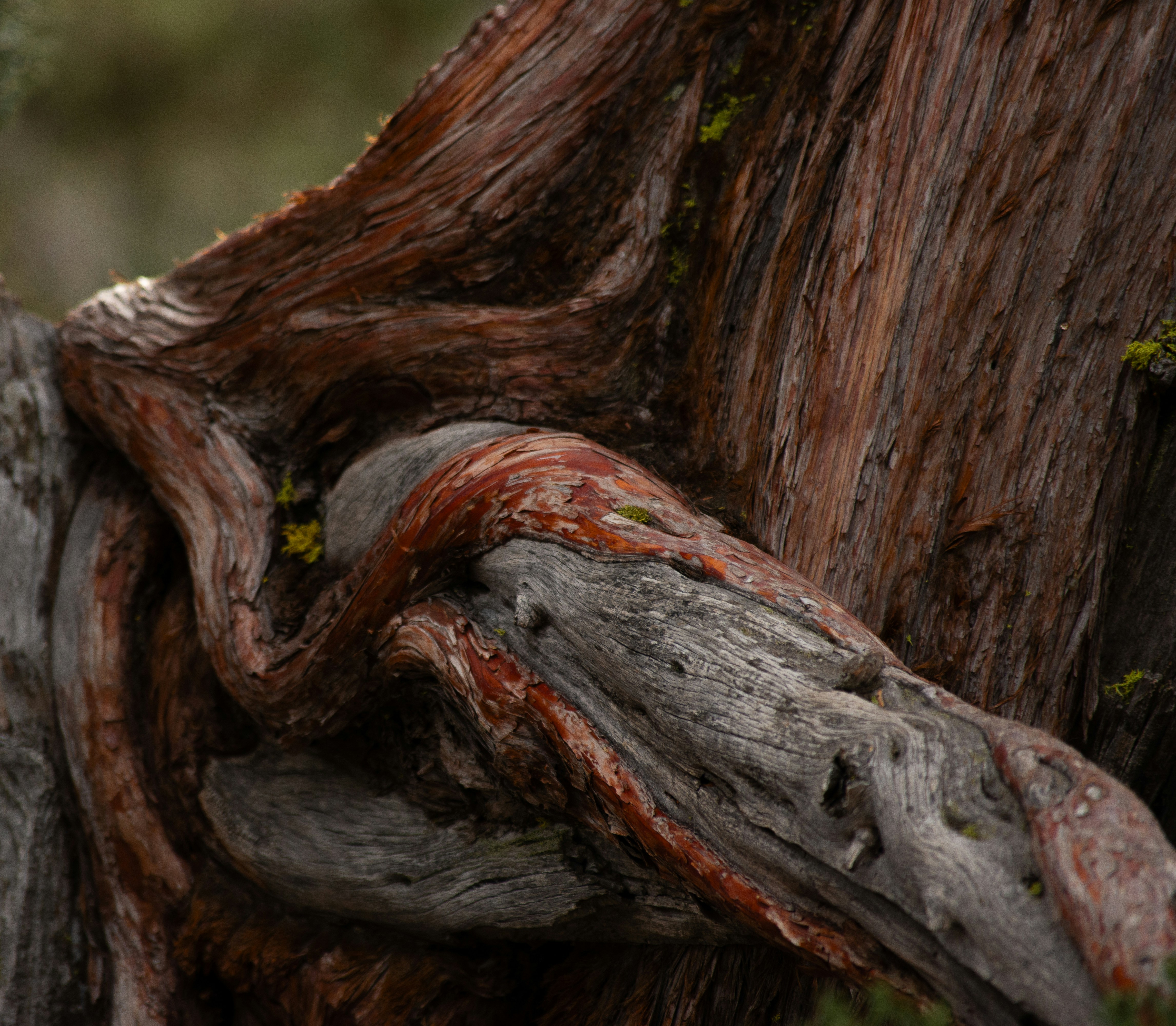 Photo by alexmoliski