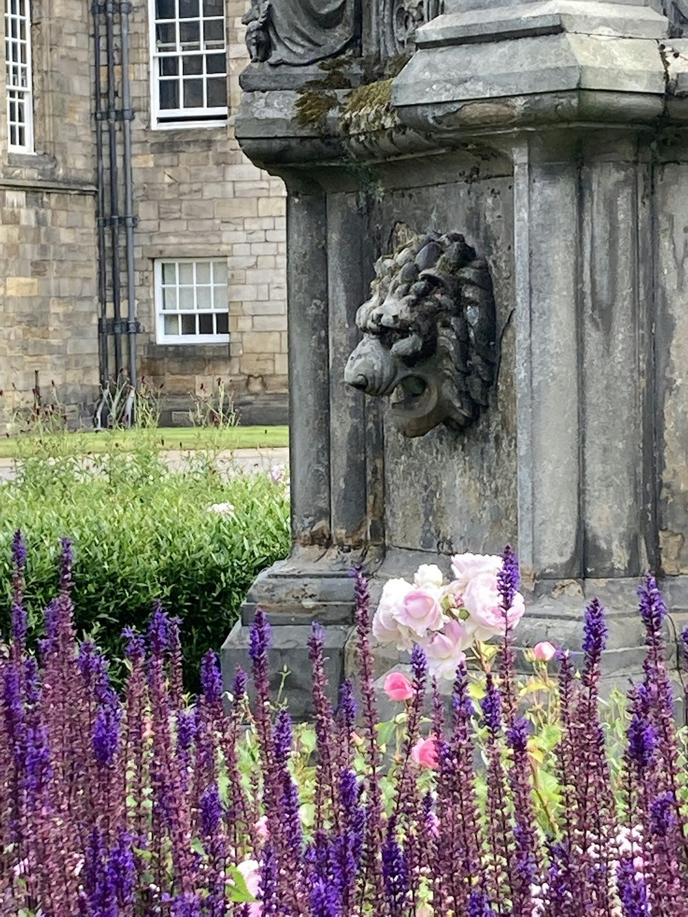 a statue of a lion surrounded by purple flowers