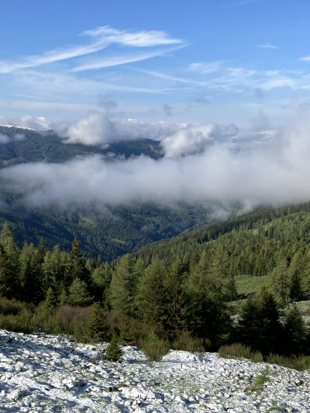 una vista di una catena montuosa con alberi in primo piano