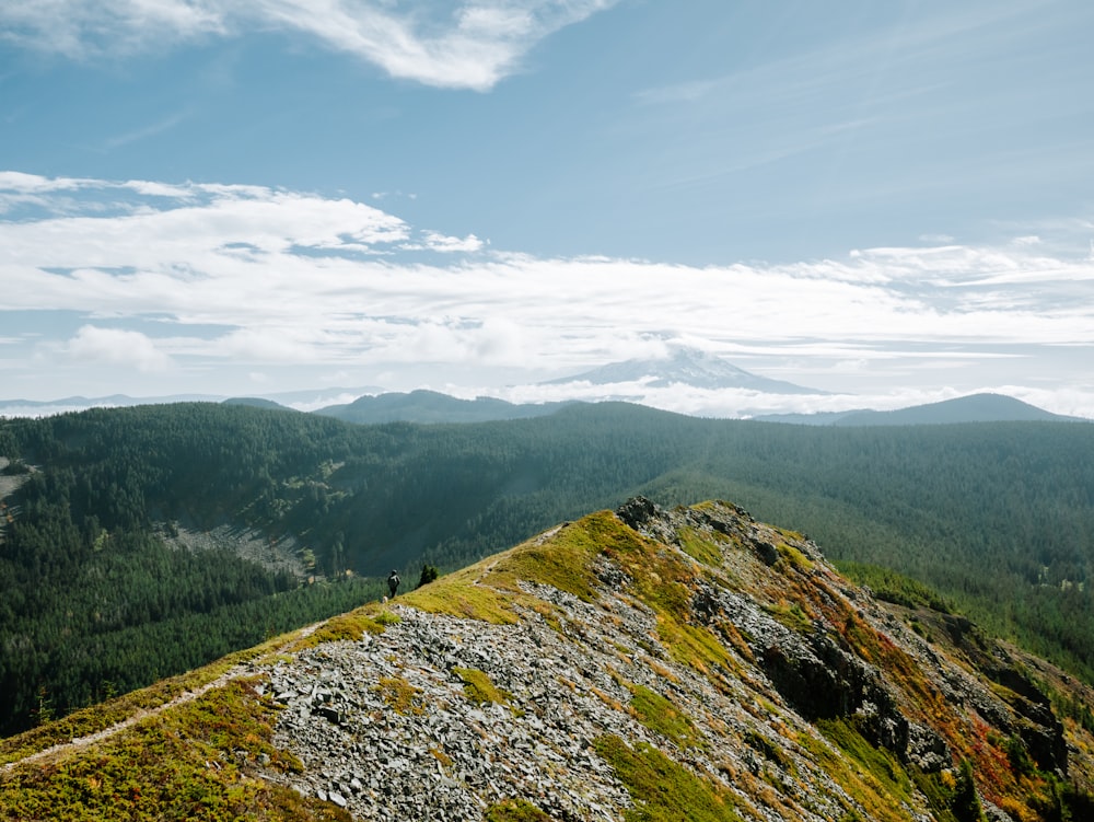 a man standing on top of a lush green hillside