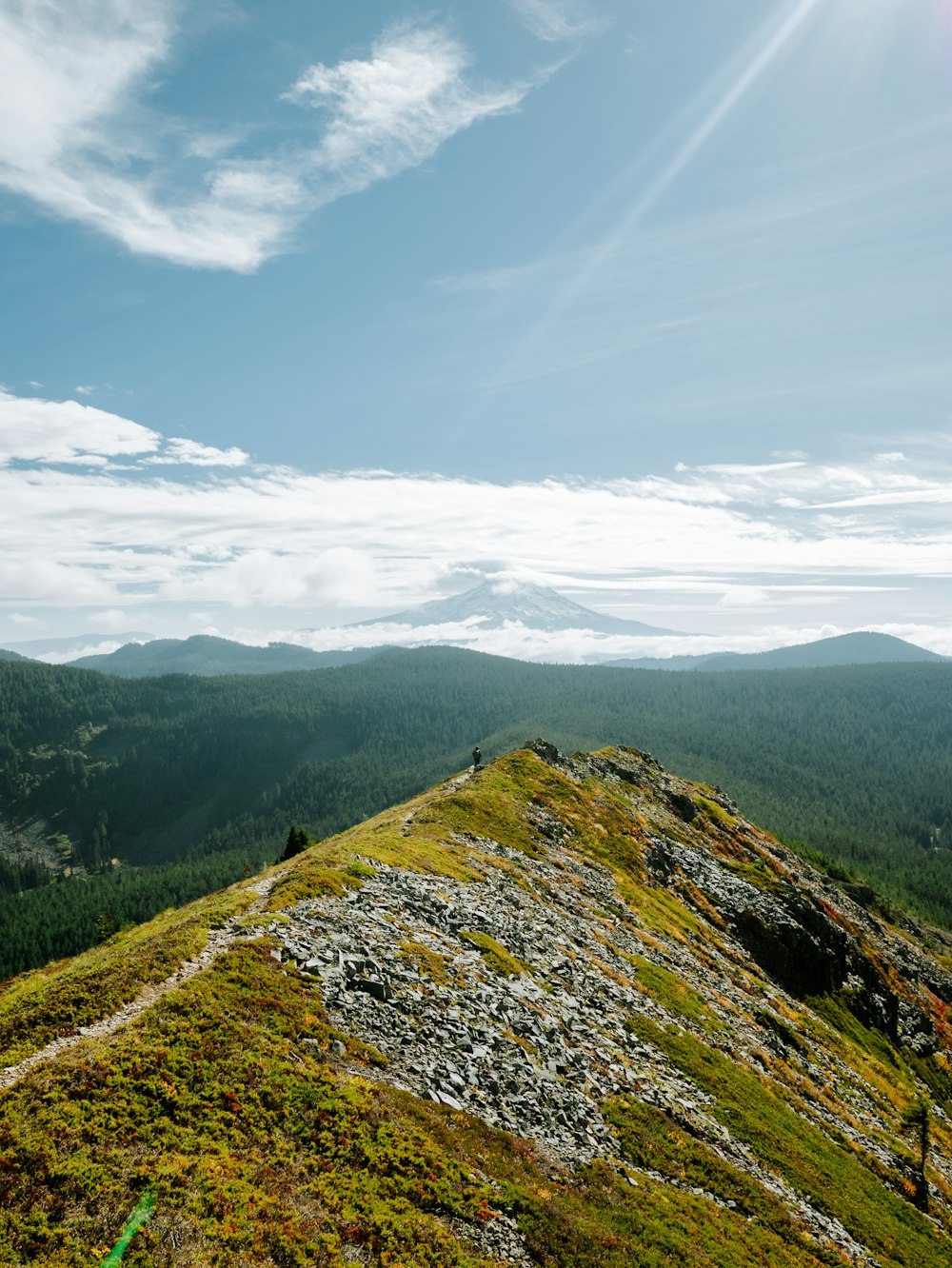 a view of a grassy hill with mountains in the background