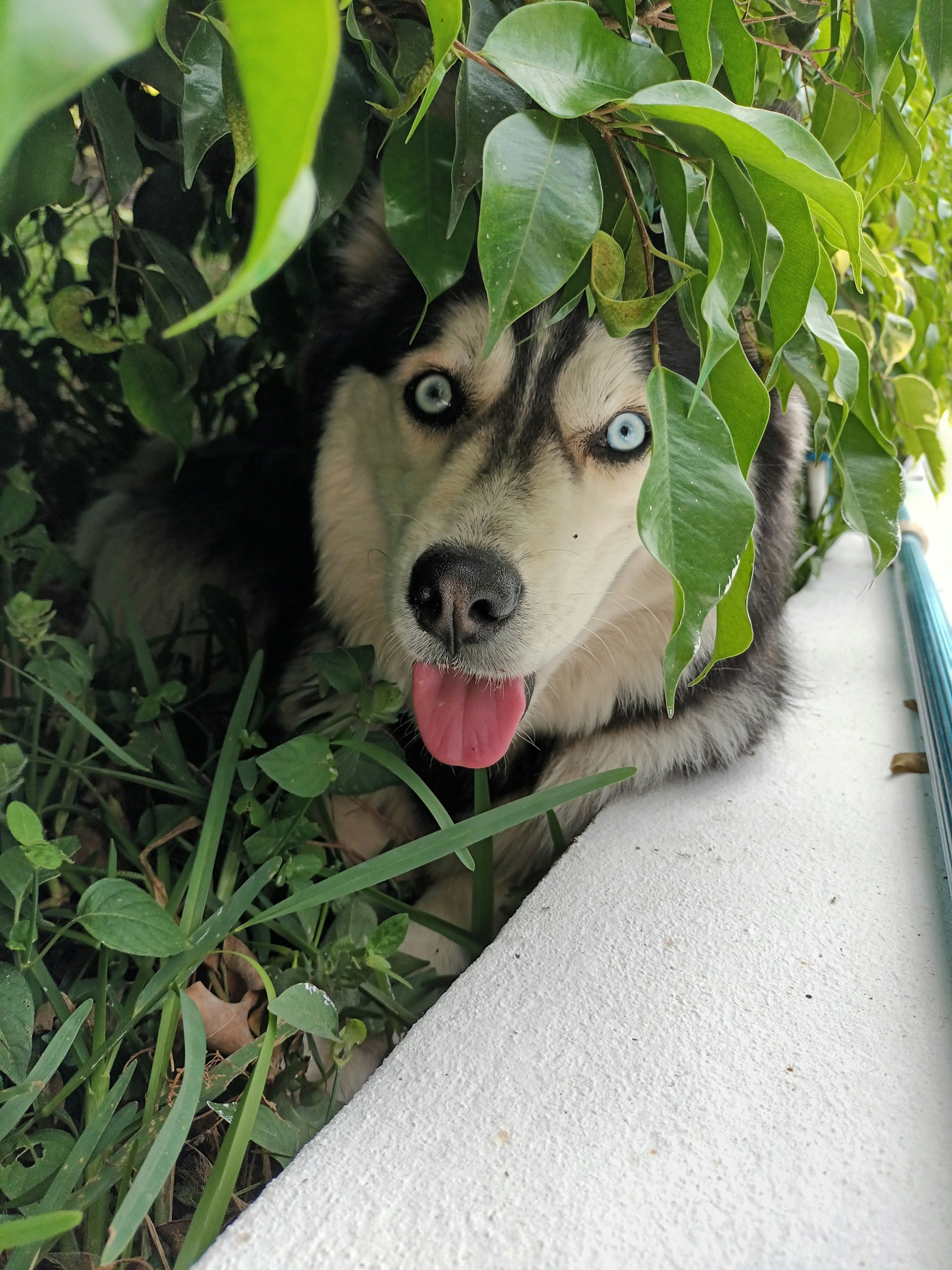 woman wearing yellow long-sleeved dress under white clouds and blue sky during daytime
