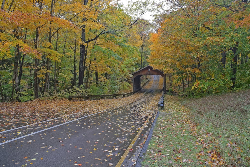 a train traveling through a tunnel in the middle of a forest