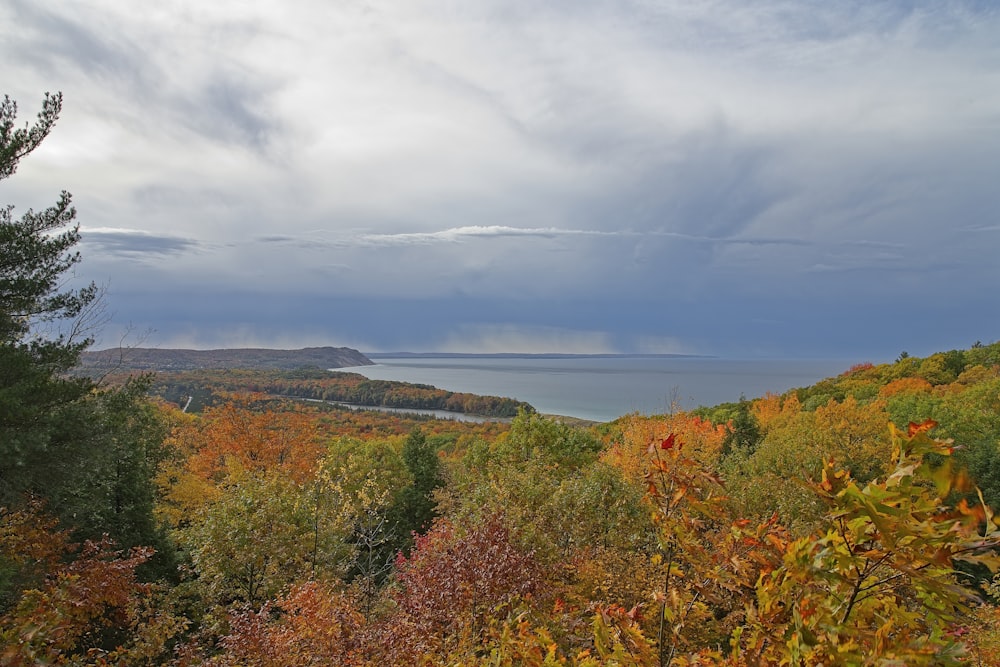 a scenic view of a lake surrounded by trees