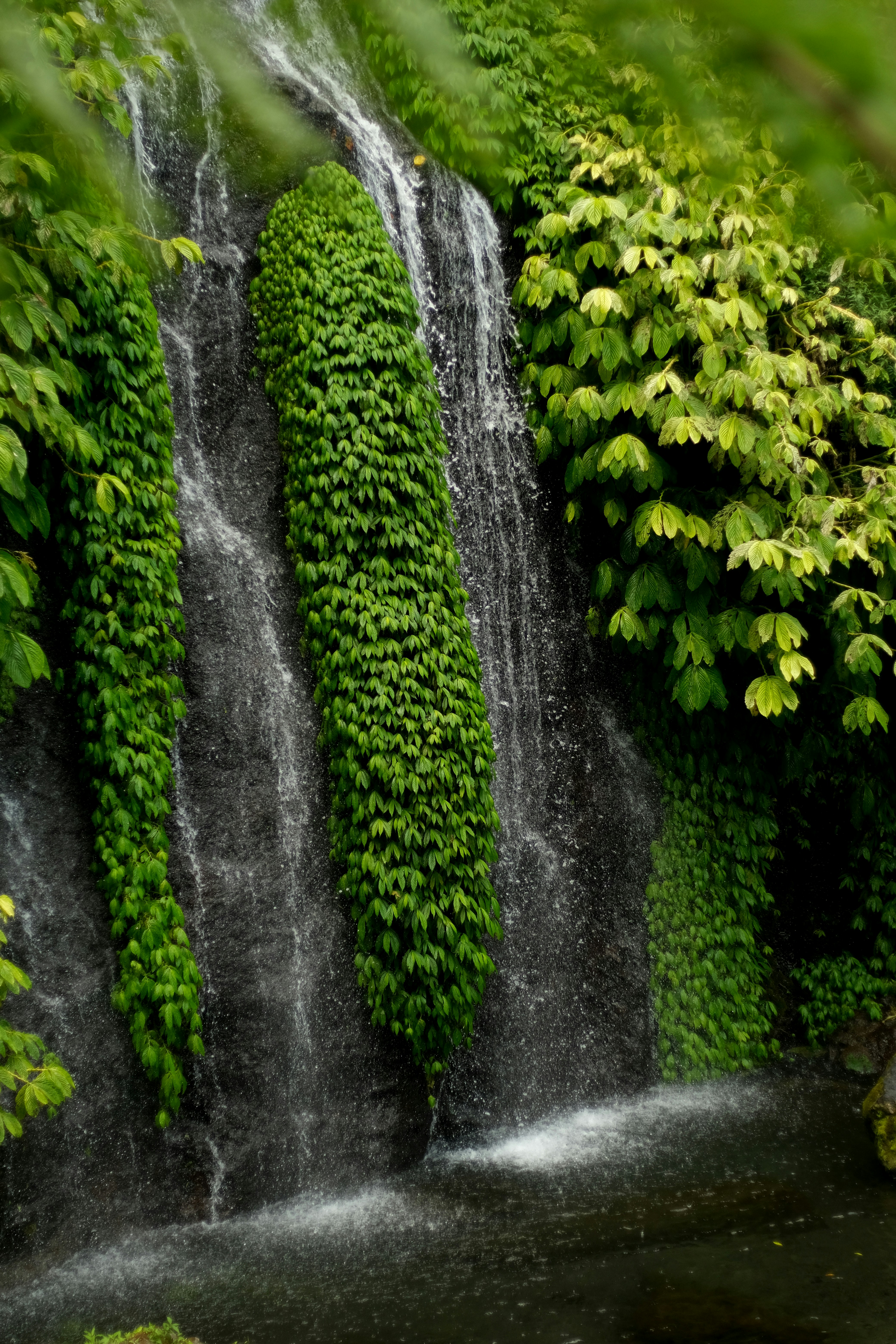 Picture 2 : BALI IN 10 DAYS - Bali Waterfall Excursion