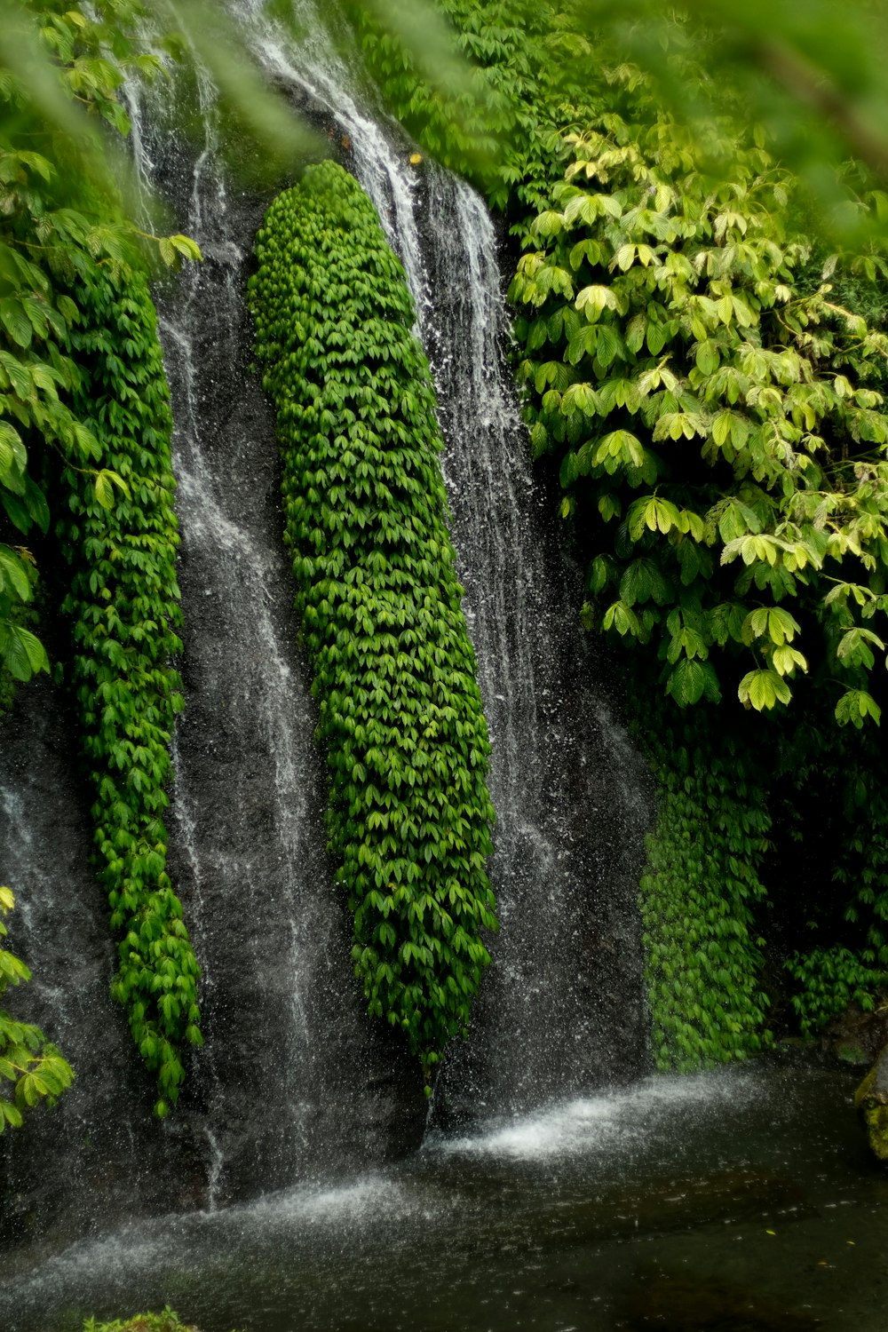 a small waterfall surrounded by lush green foliage