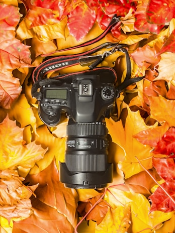 A beginner-friendly DSLR camera set against a backdrop of colorful autumn leaves.