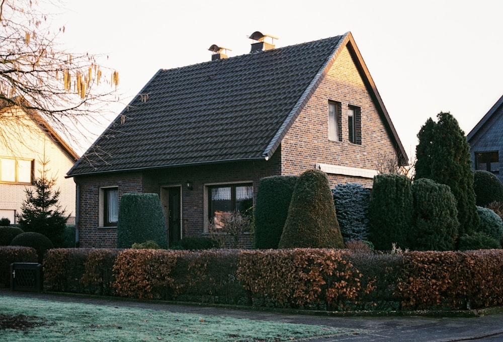 a house with a large hedge in front of it