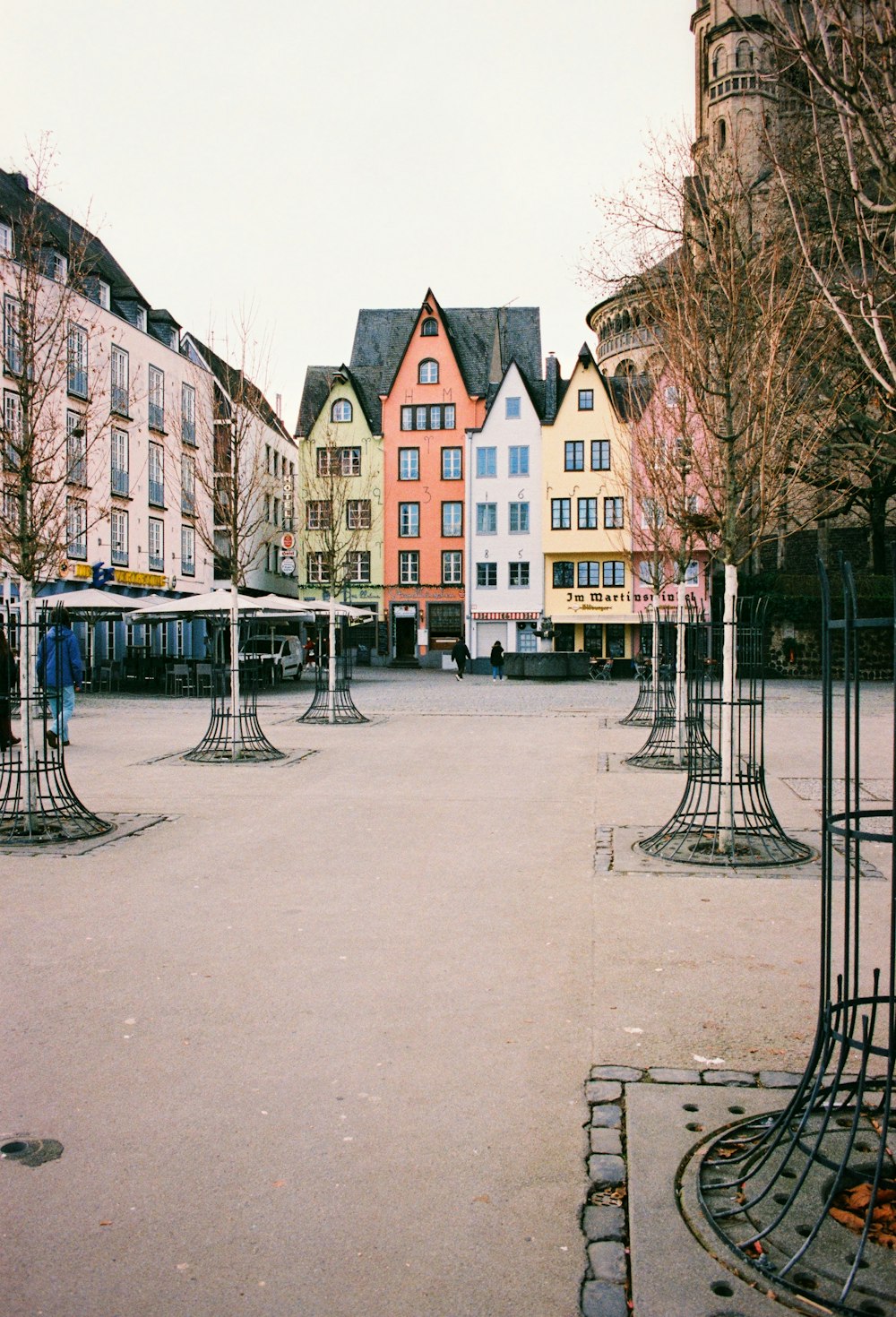 a row of trees in front of a row of buildings