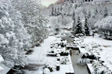 A serene winter garden with snow-covered trees and pathways.