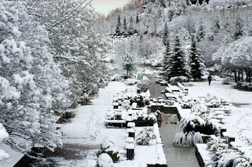 A serene winter garden with snow-covered trees and pathways.