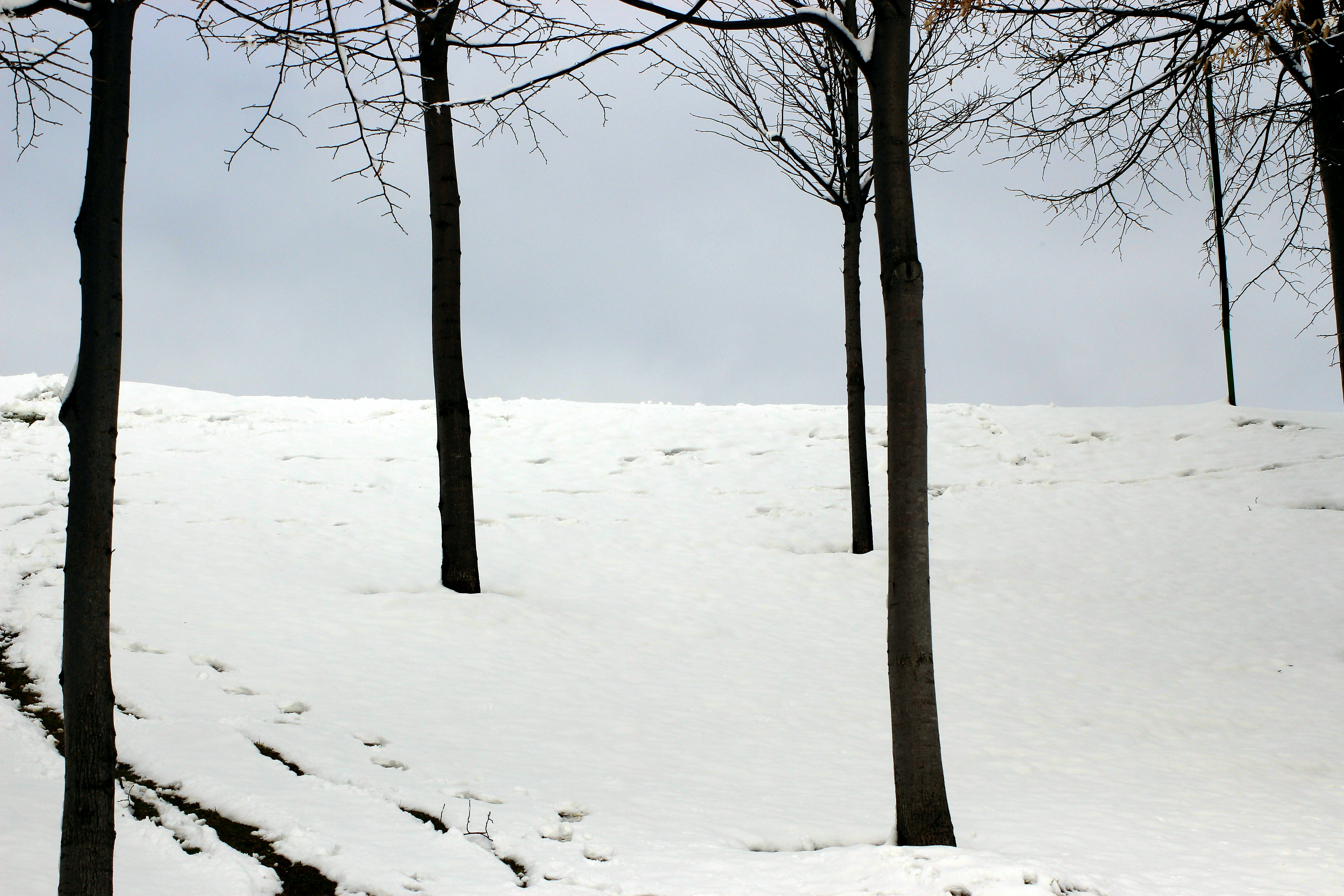 Photo by erol2023