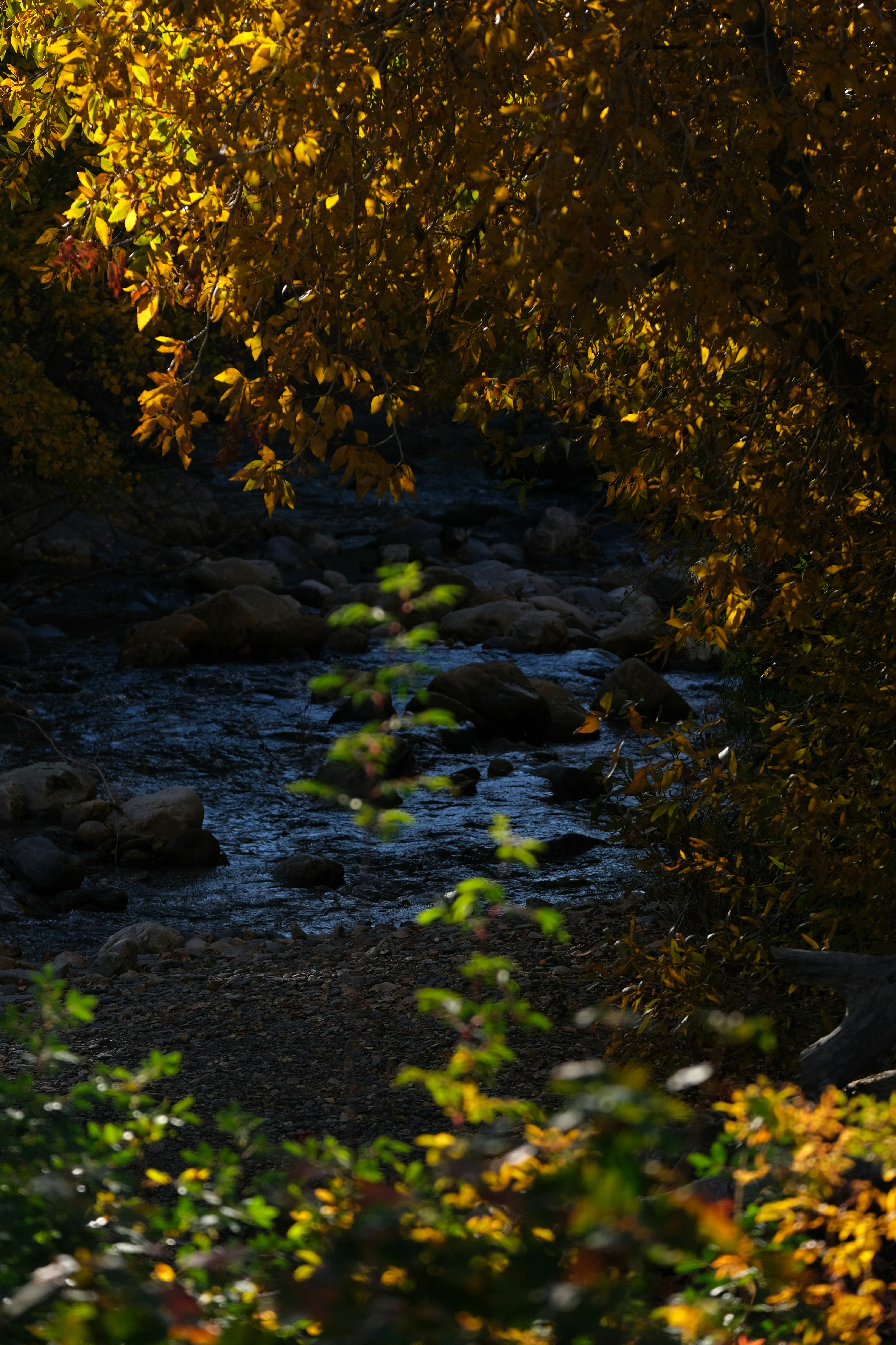 Photo by cestmoisheedy