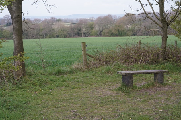 A peaceful rural leisure area with green fields and rustic wooden benches under trees.