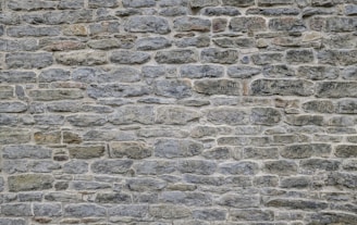 Artisan applying minimal stone finish by hand on a large interior wall.