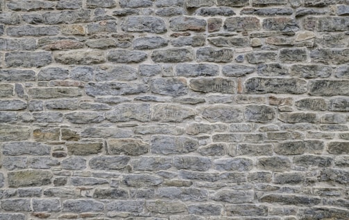 Artisan applying minimal stone finish by hand on a large interior wall.