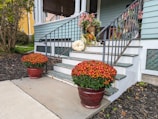 A porch with steps leads up to a cozy entrance adorned with potted plants. Two large pots filled with vibrant red and yellow flowers sit symmetrically on either side of the steps. A white pumpkin rests on the top step, adding an autumnal touch. Various other plants and decorations are arranged alongside a rustic black metal railing. The porch features a light blue siding and white columns, enhancing the welcoming atmosphere.