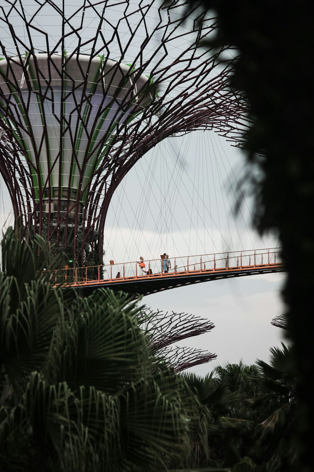 a couple of people walking across a bridge