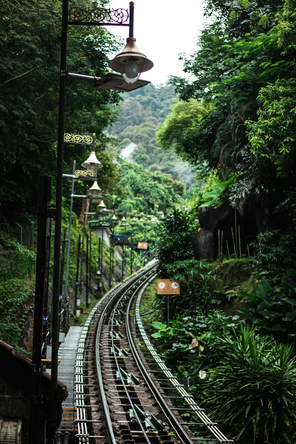 a train track running through a lush green forest