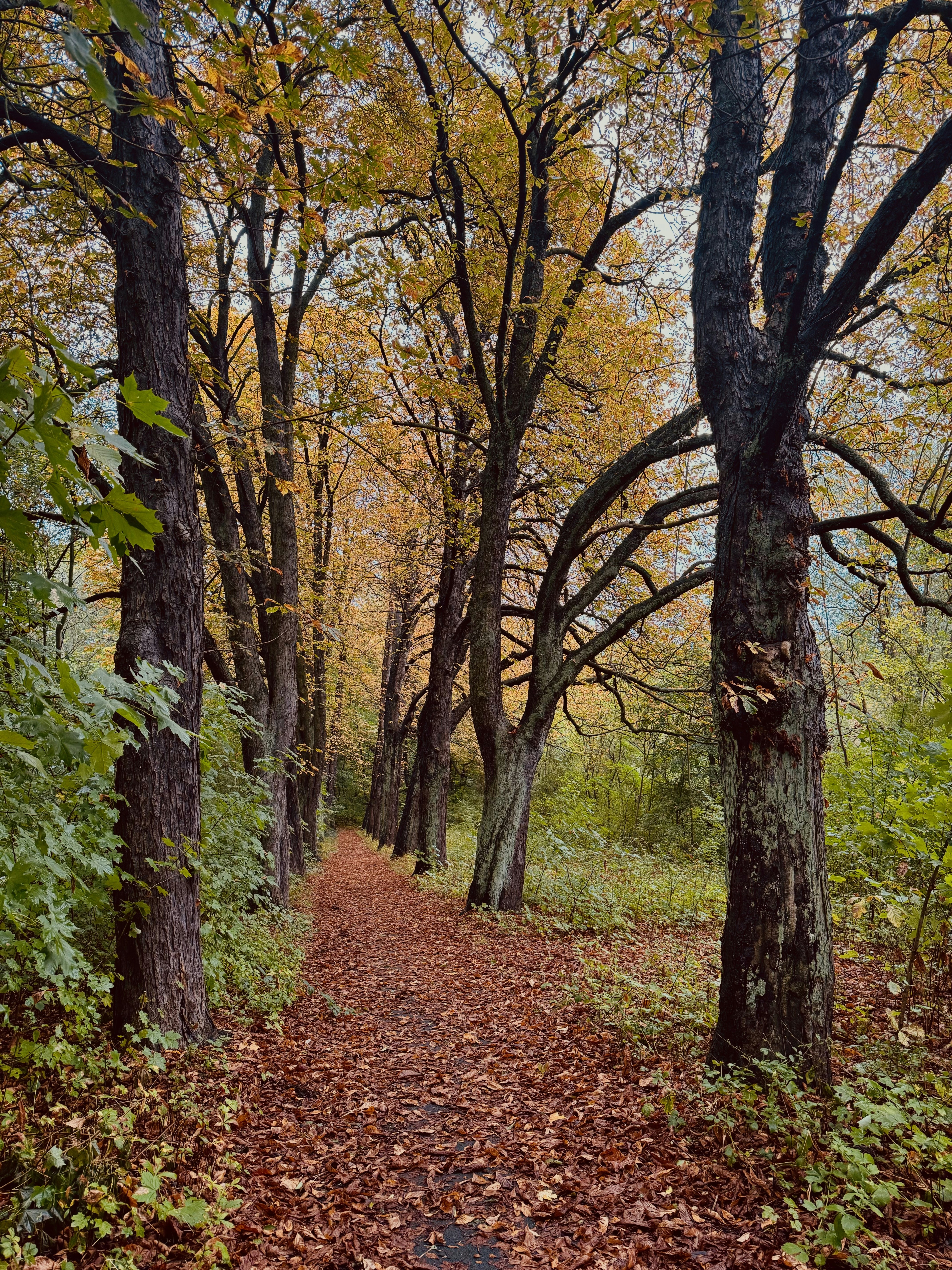 Photo by agentkramer