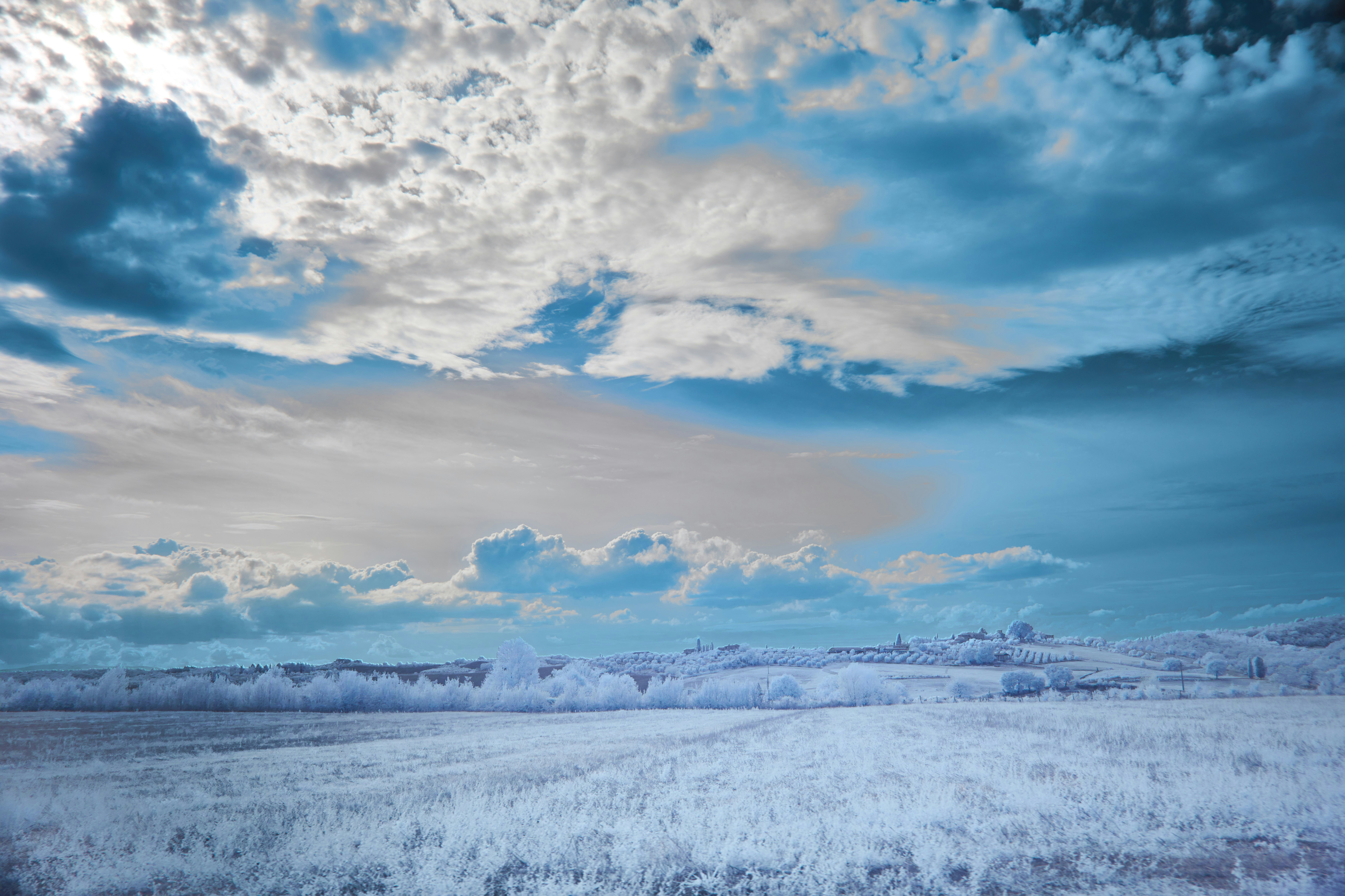 Photo by wolfgang_hasselmann