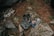 A pair of outdoor hiking shoes and a backpack are placed on a large rock surrounded by natural elements like pine needles and stones. Beside them is a guidebook or map with an outdoor adventure theme.