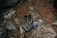 A pair of outdoor hiking shoes and a backpack are placed on a large rock surrounded by natural elements like pine needles and stones. Beside them is a guidebook or map with an outdoor adventure theme.