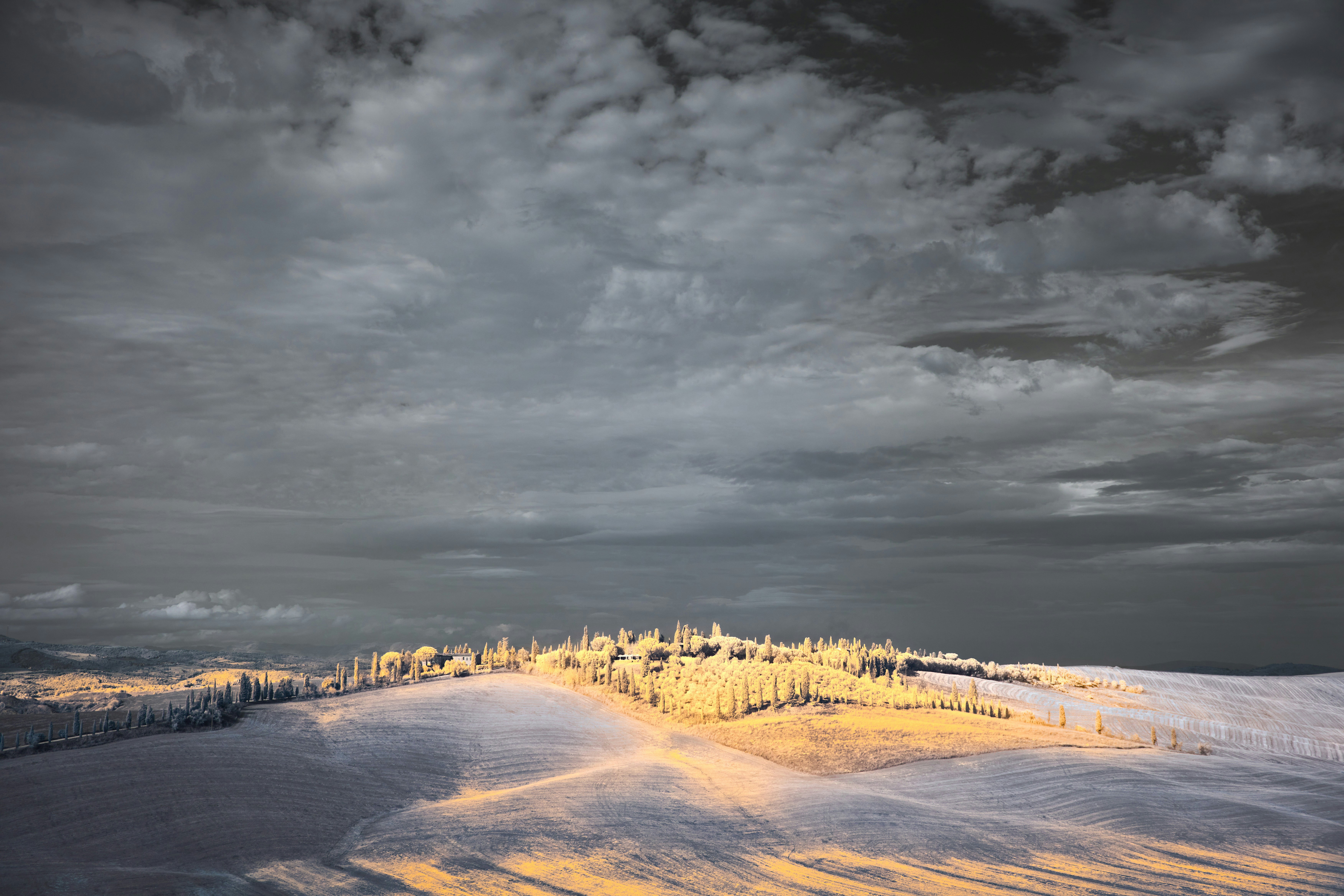 Image by Wolfgang Hasselmann via Unsplash