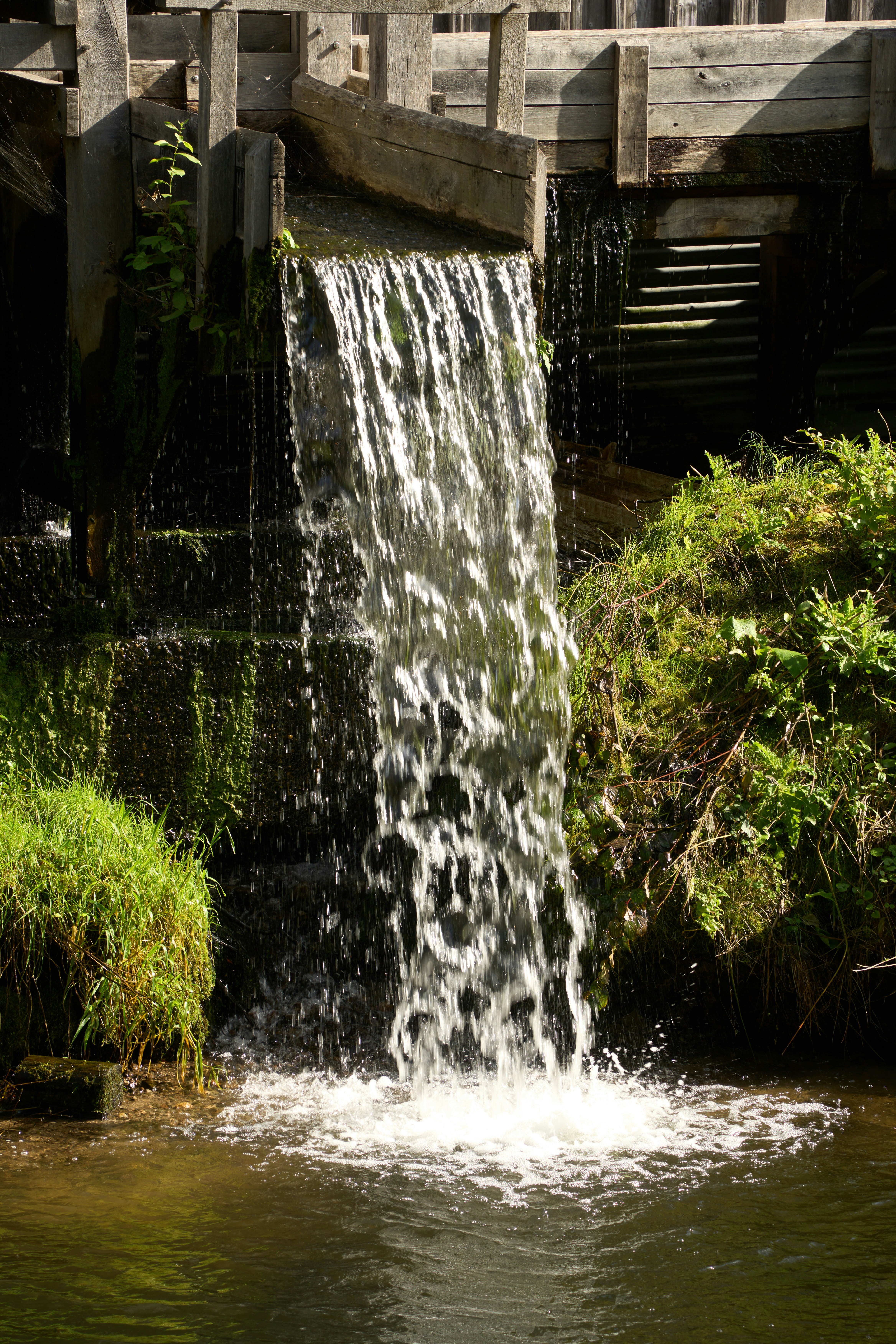 Photo by wolfgang_hasselmann