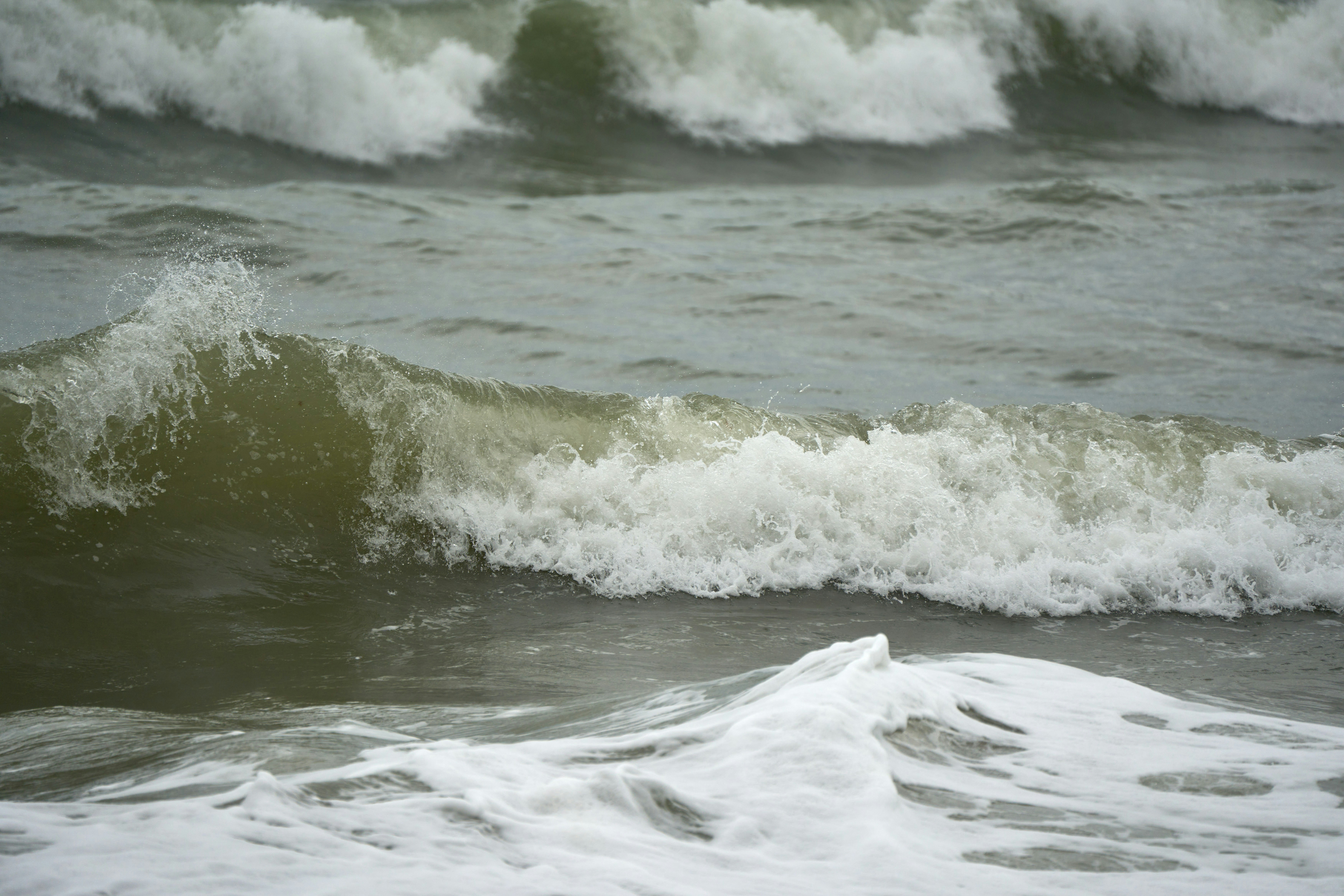 Photo by wolfgang_hasselmann