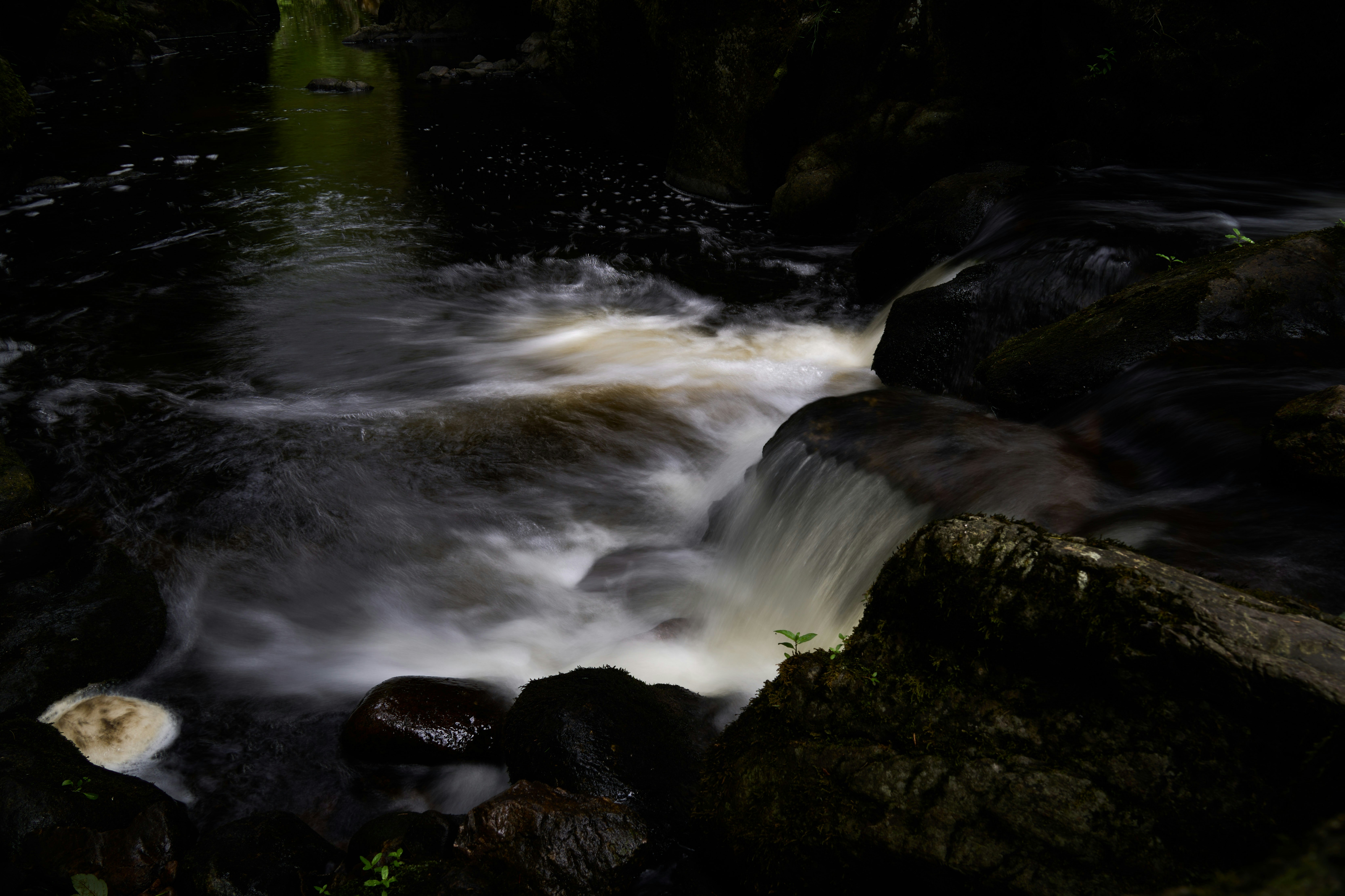 Photo by wolfgang_hasselmann