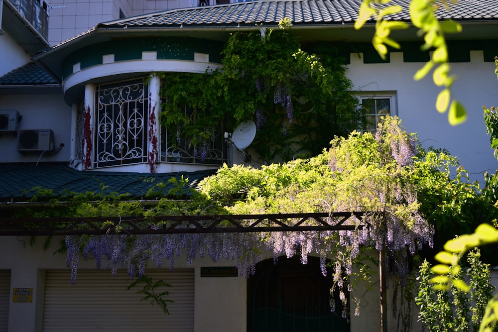 a house with a bunch of purple flowers on it