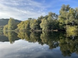 A peaceful lakeside scene with reflections of trees and sky.