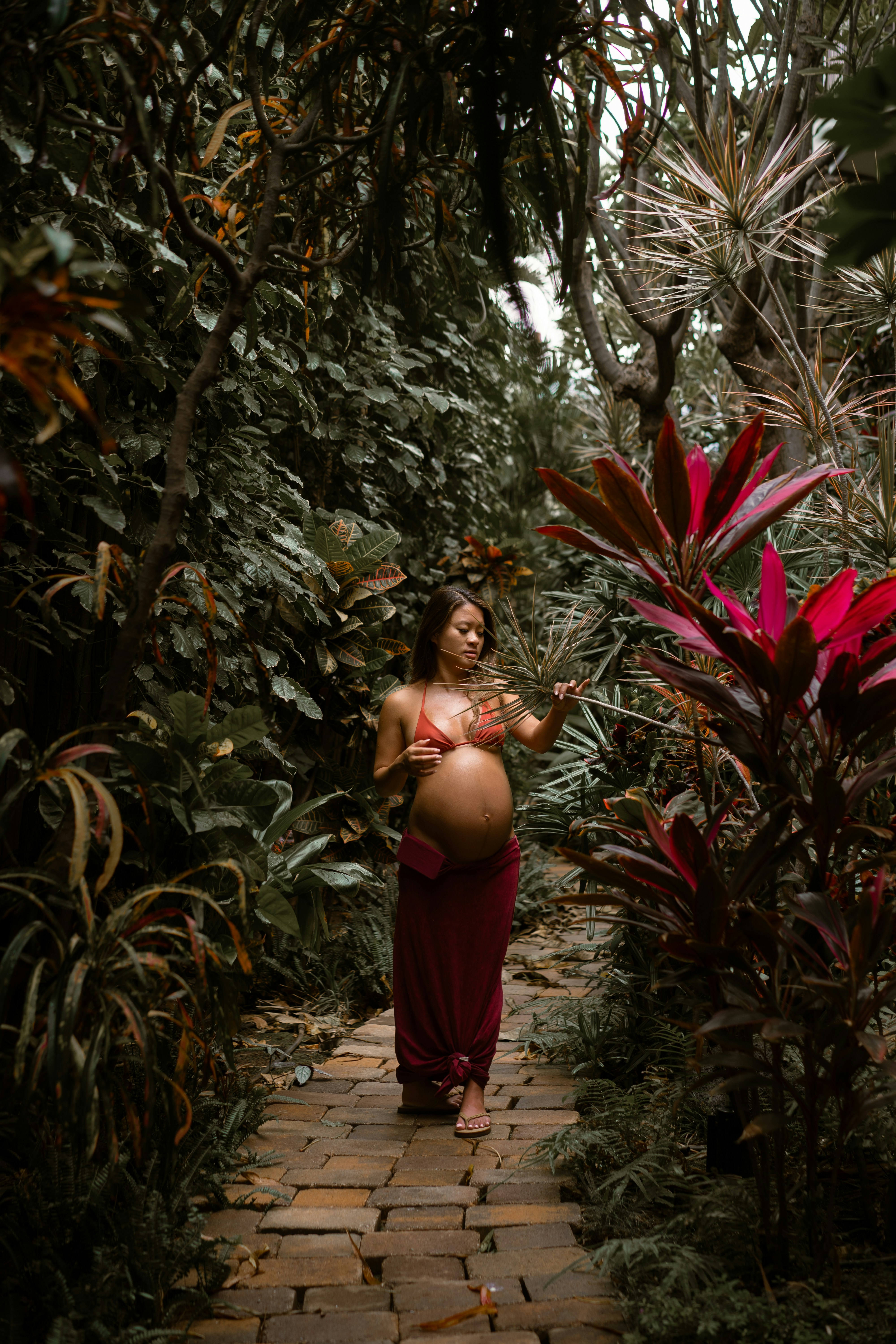 Photo by serrcharles