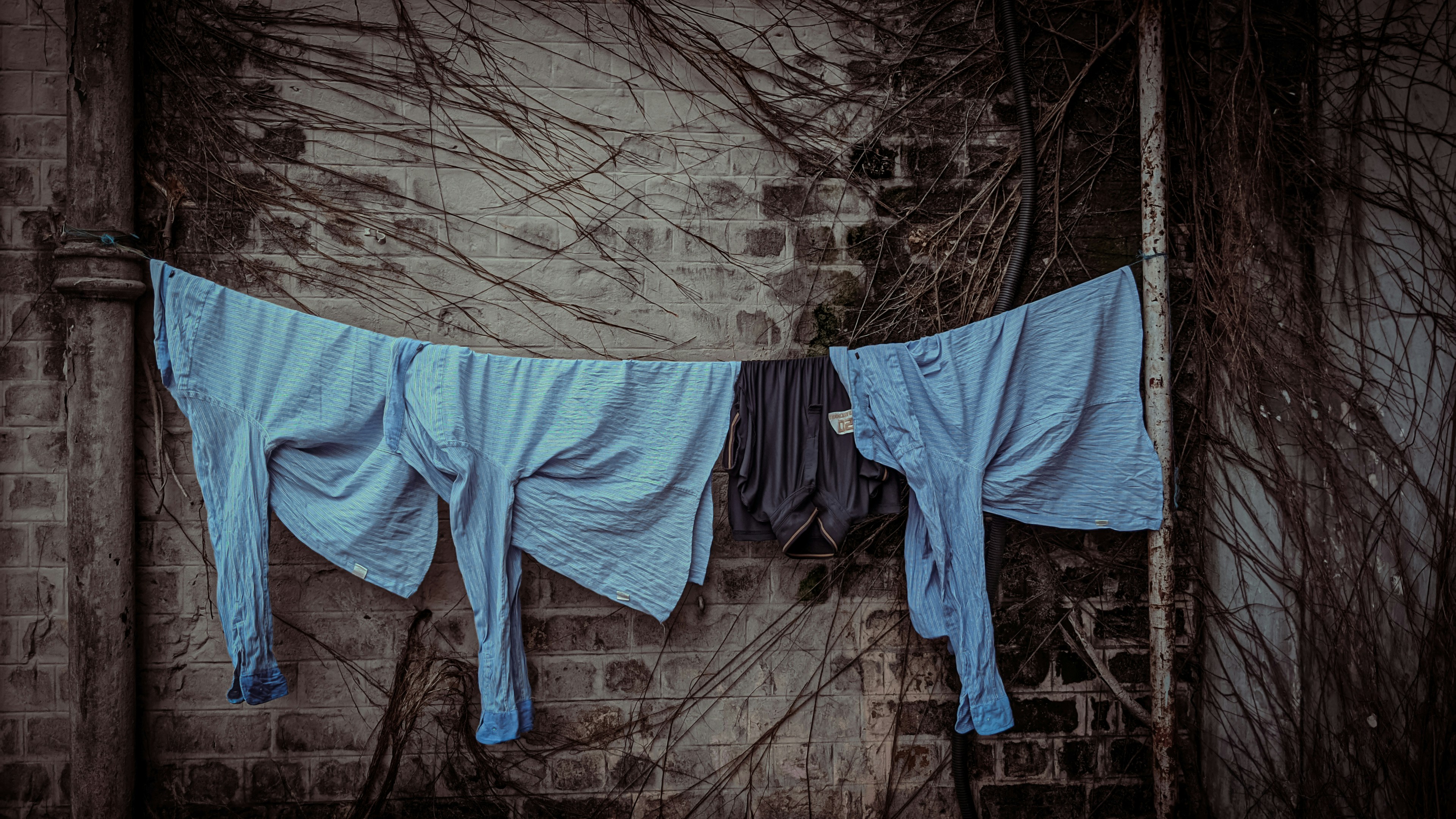 Dark preset photography