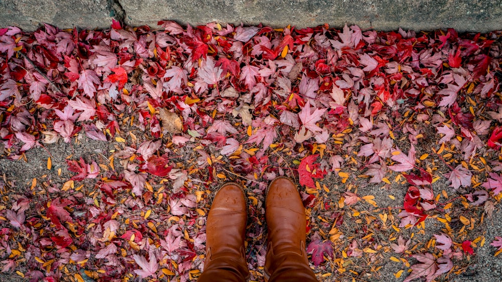 a pair of brown boots standing on top of a carpet of leaves