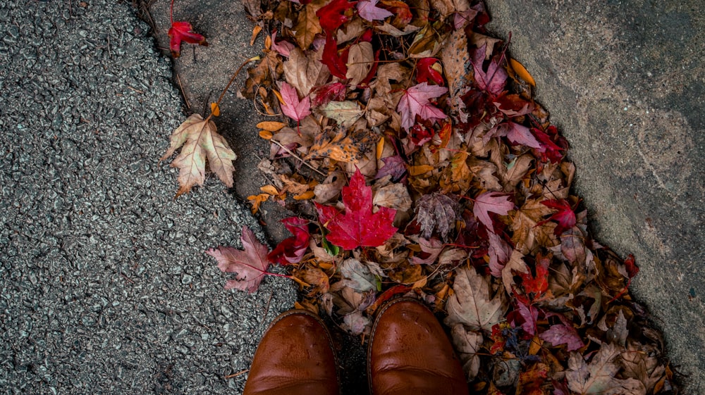 a pair of brown shoes sitting on top of a pile of leaves
