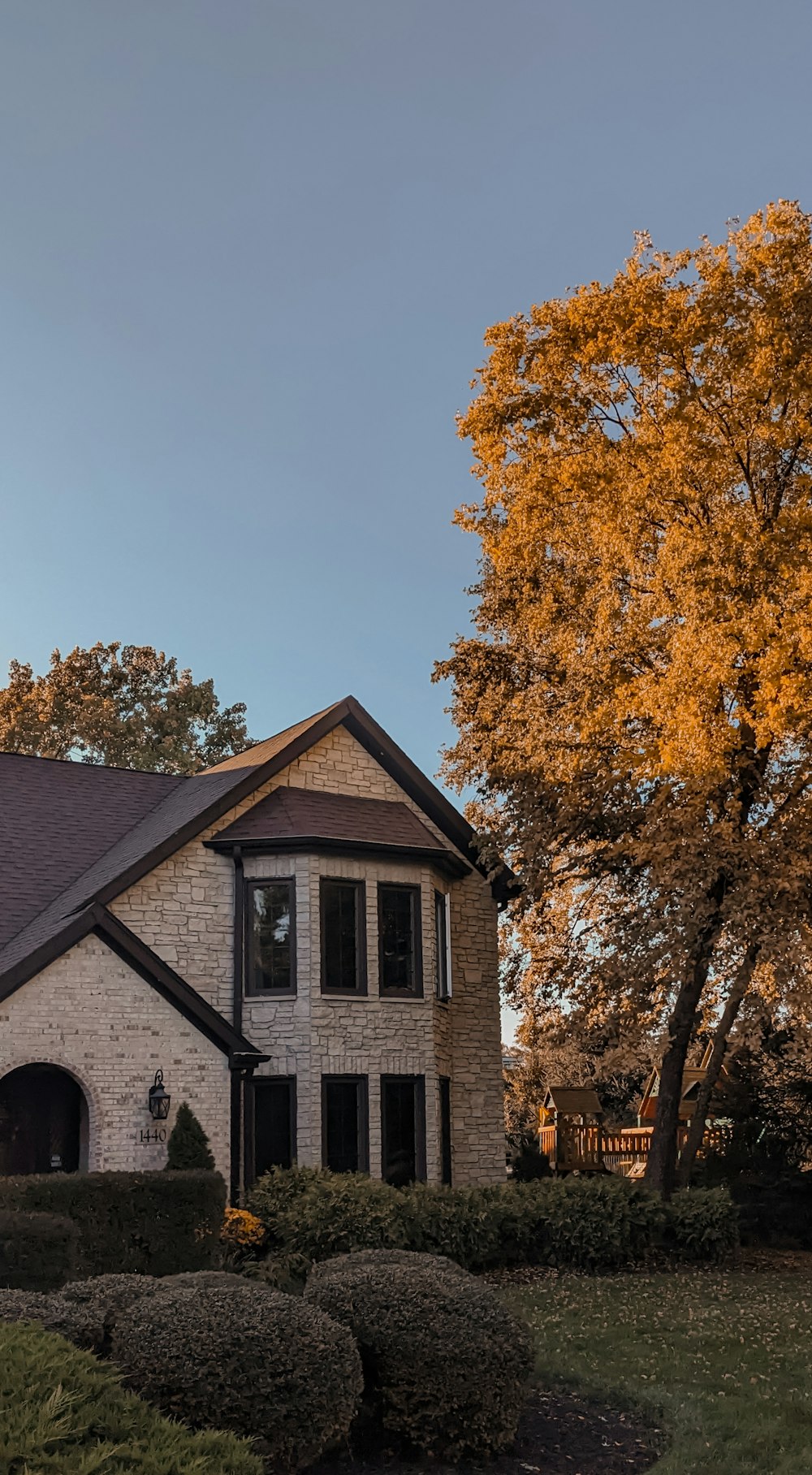 a house with a large tree in front of it