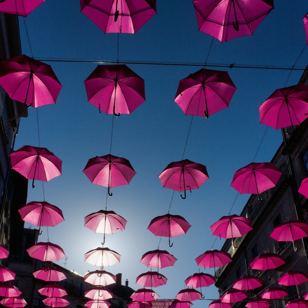a group of pink umbrellas hanging from wires