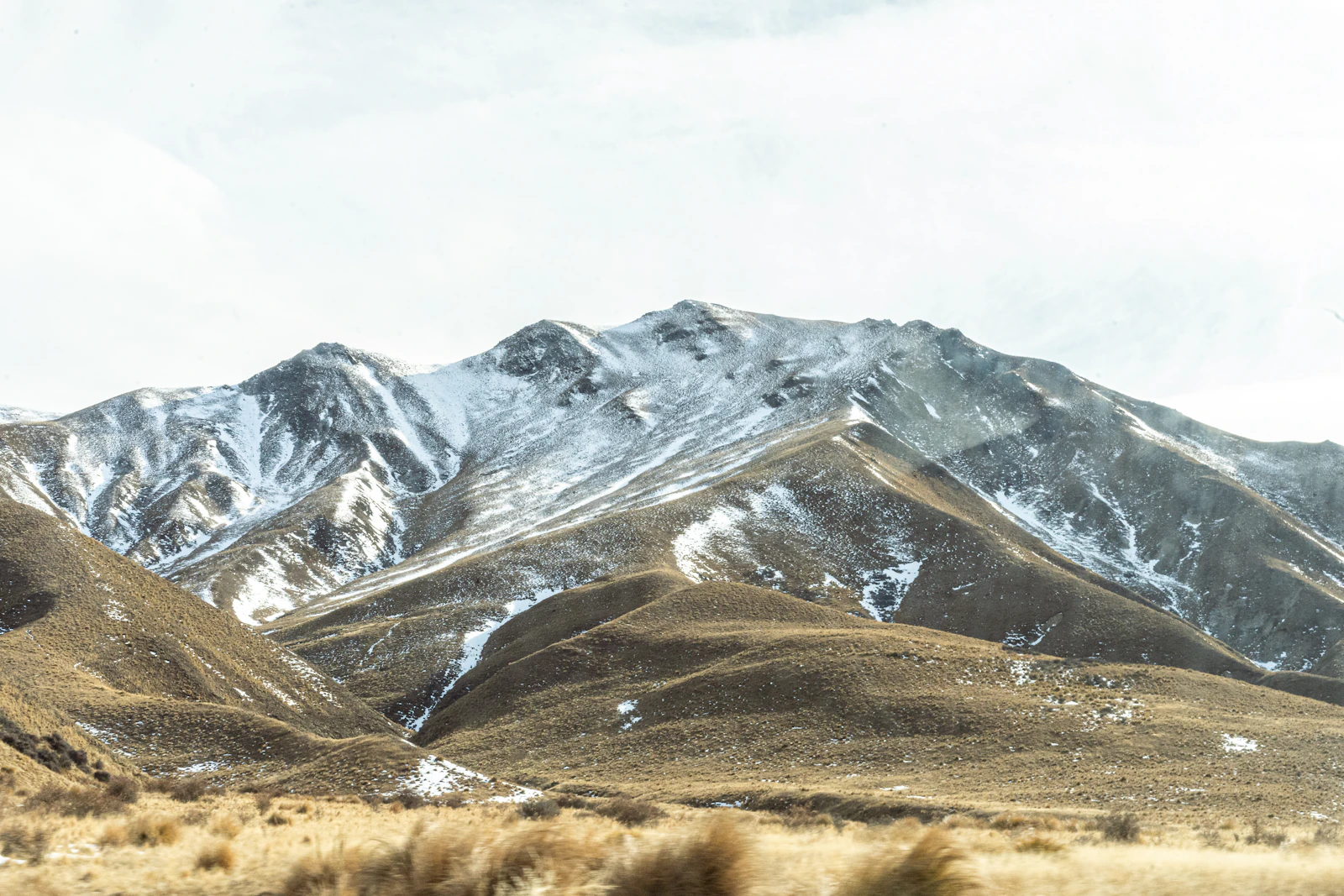 Snow-capped mountains above golden tussock grassland in New Zealand