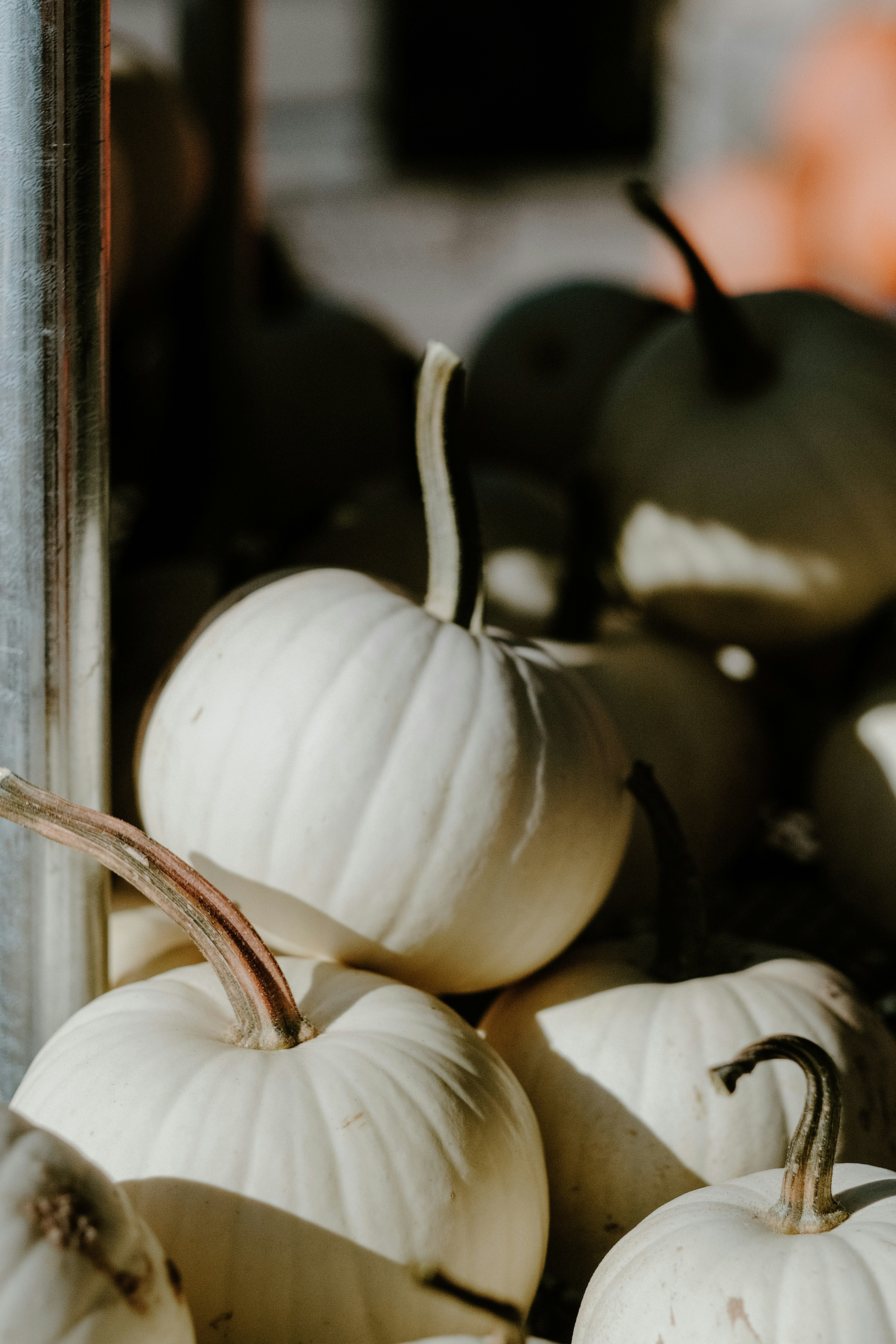 a pile of white pumpkins sitting next to each other