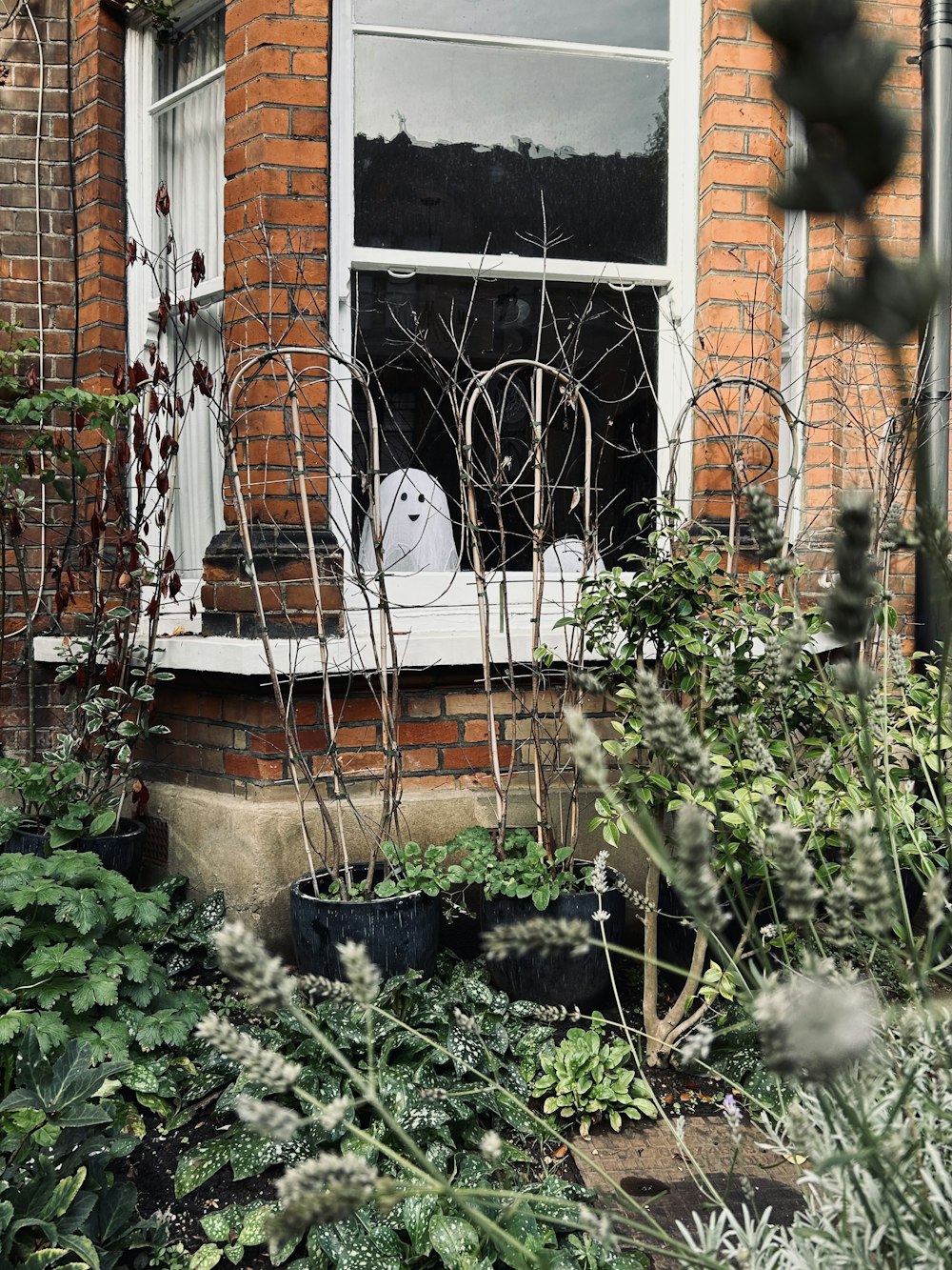 a white ghost sitting in a window sill surrounded by plants