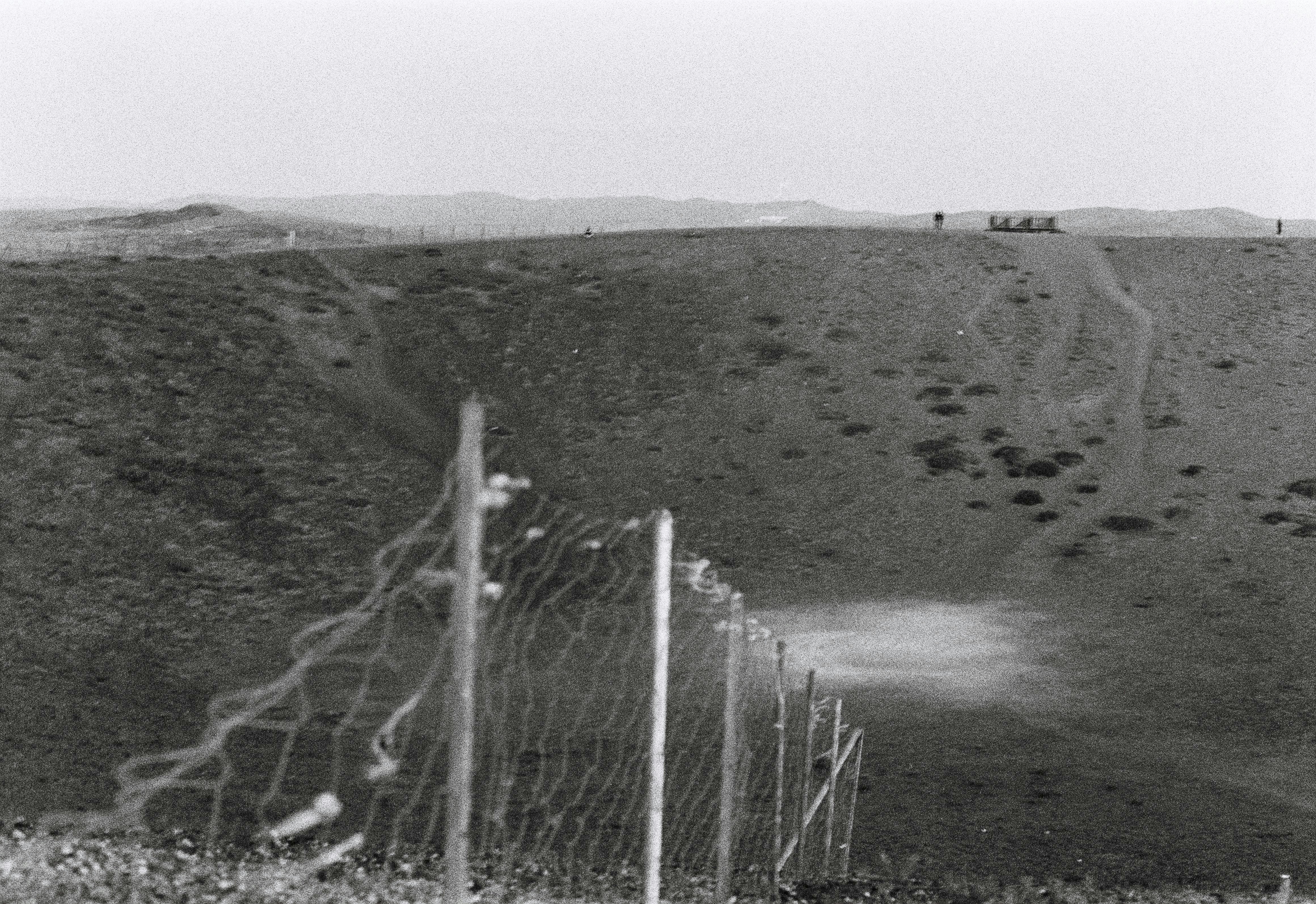 Photo by hausyang271