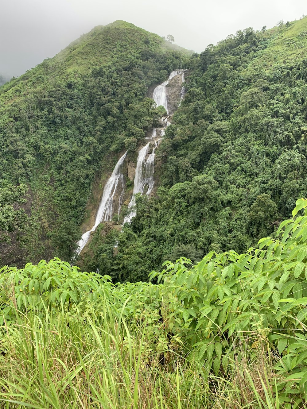 a waterfall in the middle of a lush green forest