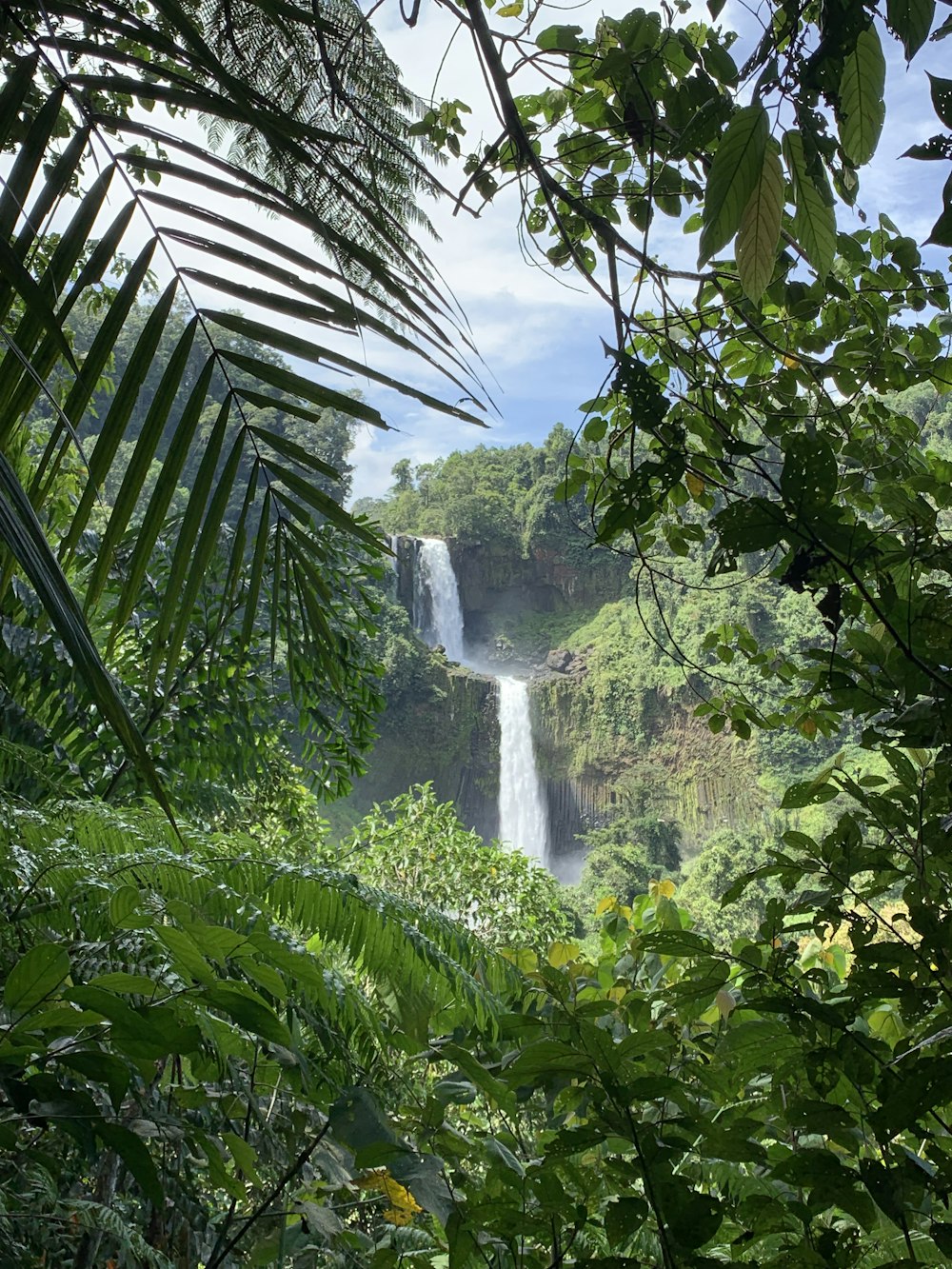 a view of a waterfall through the trees