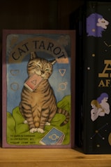 two books are sitting on a shelf