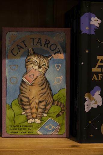 two books are sitting on a shelf